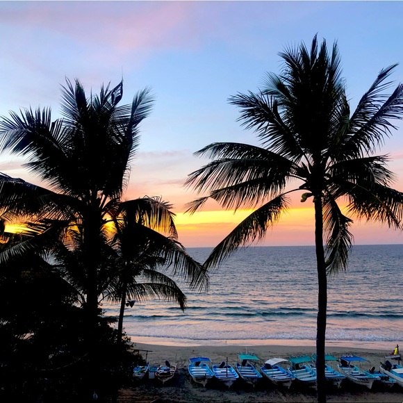 🌻Meet your Posher, Sammy - Picture 2 of 16